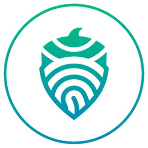 Octree Finance